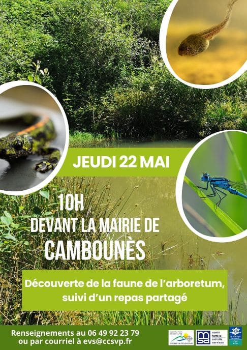 Landou - découverte arboretum