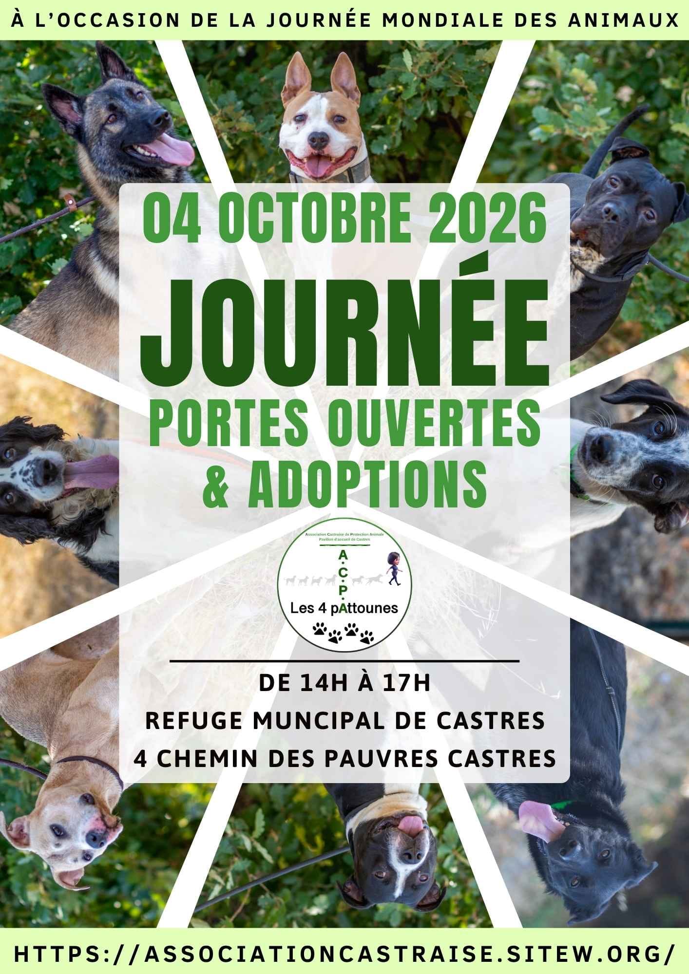 Affiche