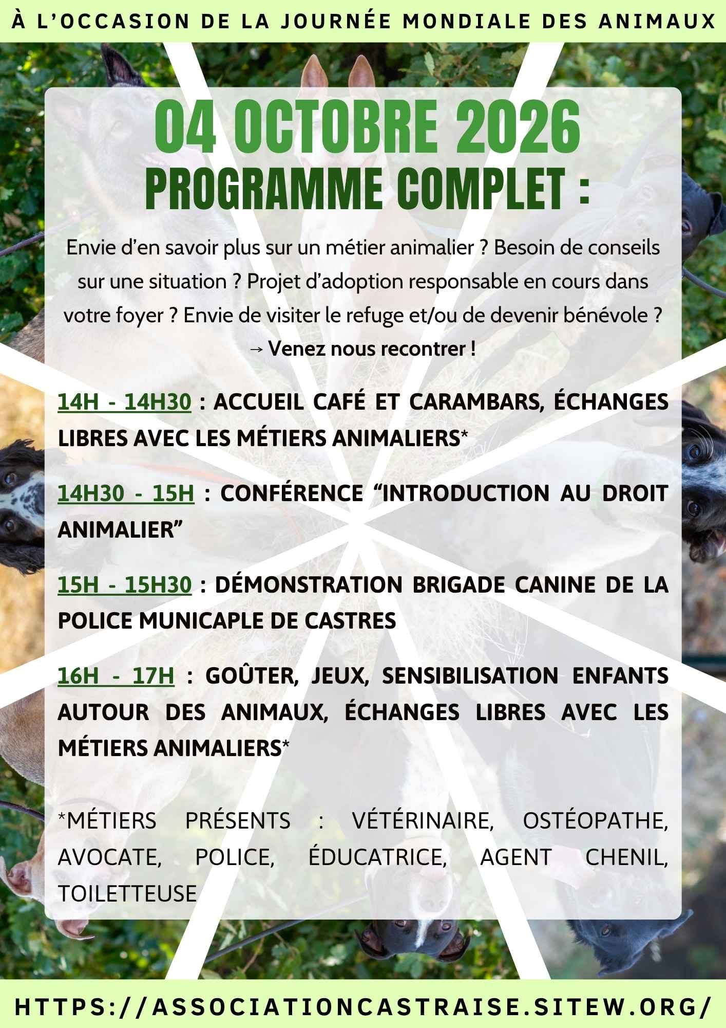 Affiche
