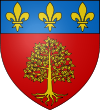 Blason Castelnau de Brassac