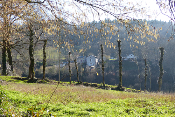 Sentier du Luthier