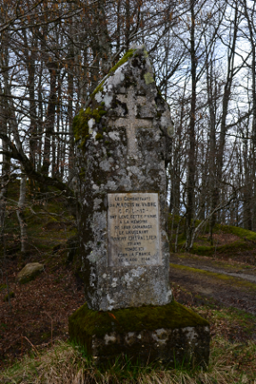 Stèle de Longuecamp Stèle