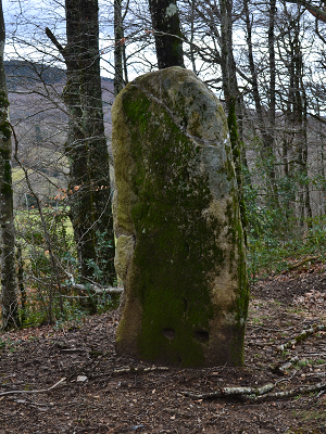 Menhir de La Soulière Menhir