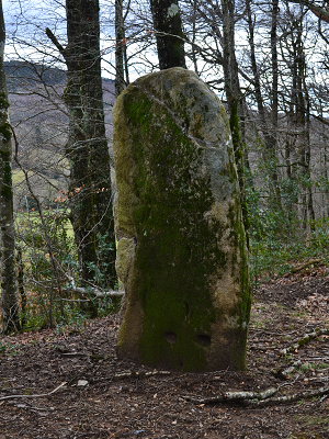 Menhir