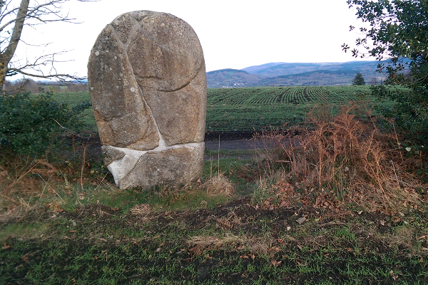 Statue-menhir de Planissart Statue-menhir