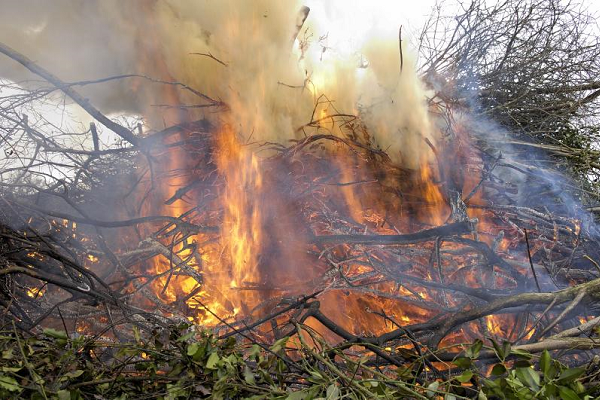 Brûlage des déchets et Ecobuage