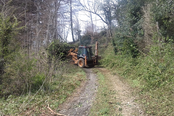 Le tracto-pelle