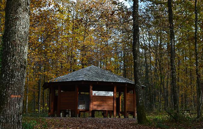 La maison de la forêt